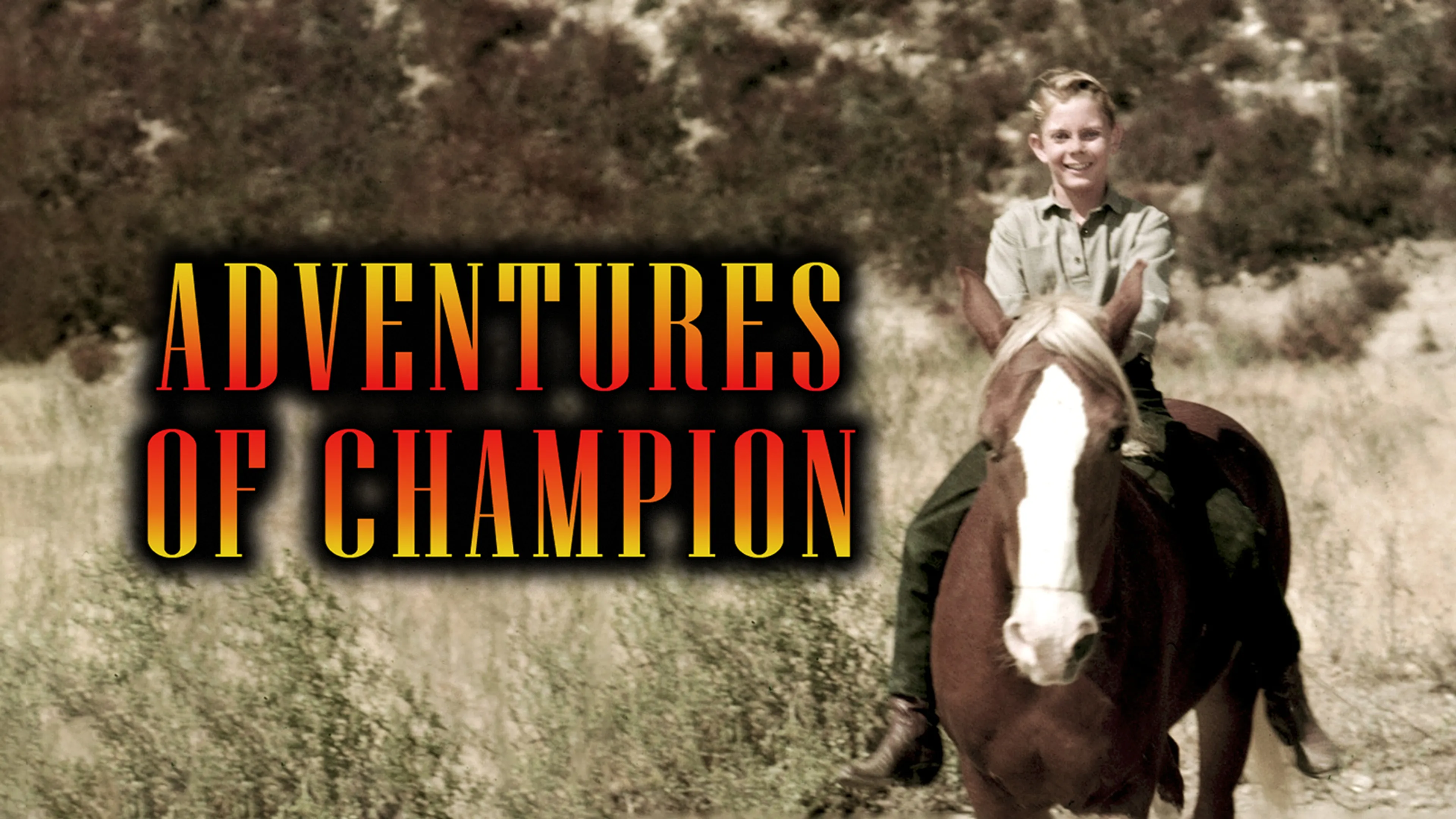 The Adventures of Champion poster